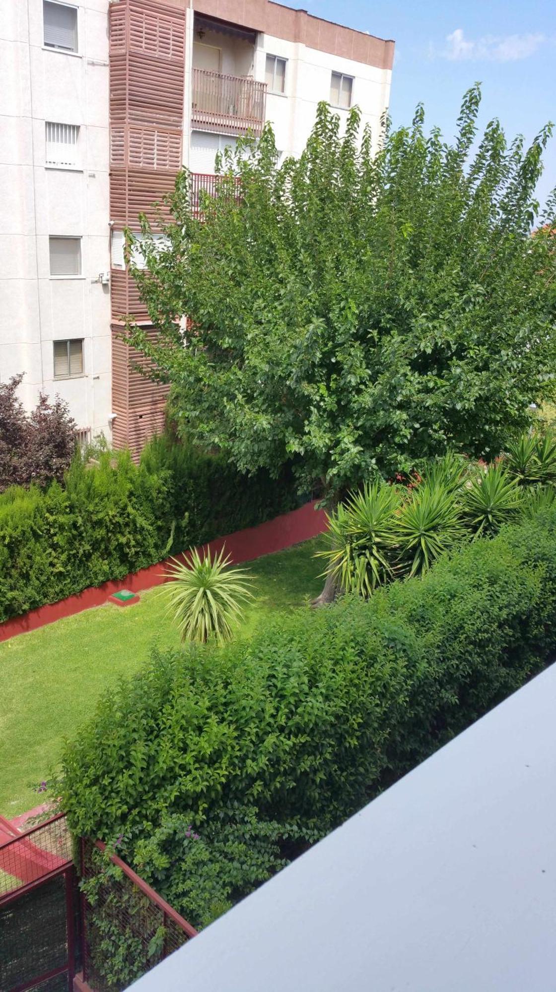 Ferienwohnung Sauces Parking Gratis Climatizado Jaén Exterior foto